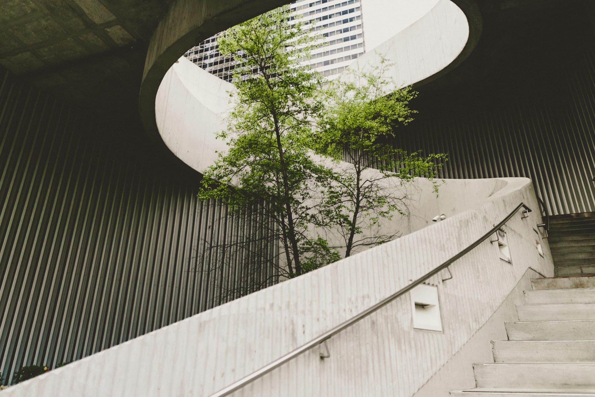 Geschwungene Betontreppe mit Pflanzen in einem Atrium
